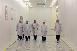 陳清泰調(diào)研長(zhǎng)江存儲(chǔ)與武漢新芯，共話中國(guó)芯片產(chǎn)業(yè)發(fā)展